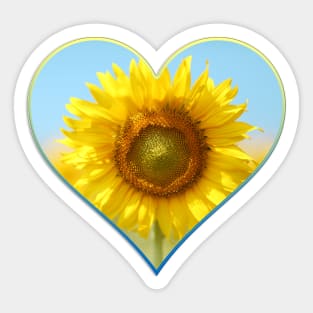 Sunflower and heart Sticker